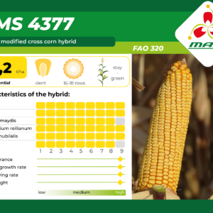 DMS 3477