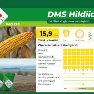 DMS Hildiia